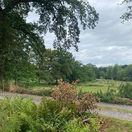 Perlefien Villa Zottegem Exteriör bild