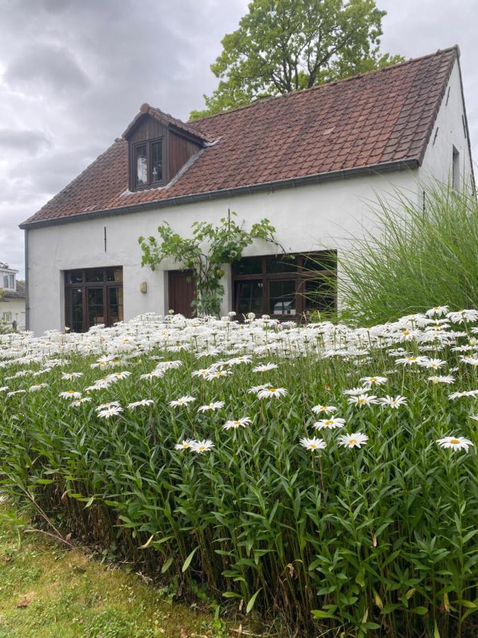 Perlefien Villa Zottegem Exteriör bild
